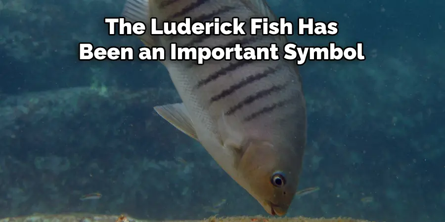 The Luderick Fish Has Been an Important Symbol