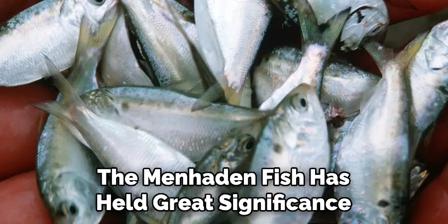 The Menhaden Fish Has Held Great Significance