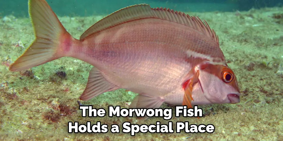 The Morwong Fish Holds a Special Place