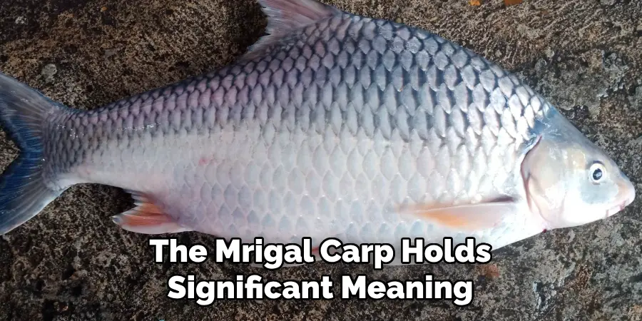 The Mrigal Carp Holds Significant Meaning