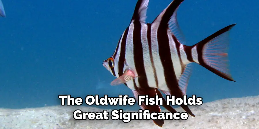 The Oldwife Fish Holds Great Significance