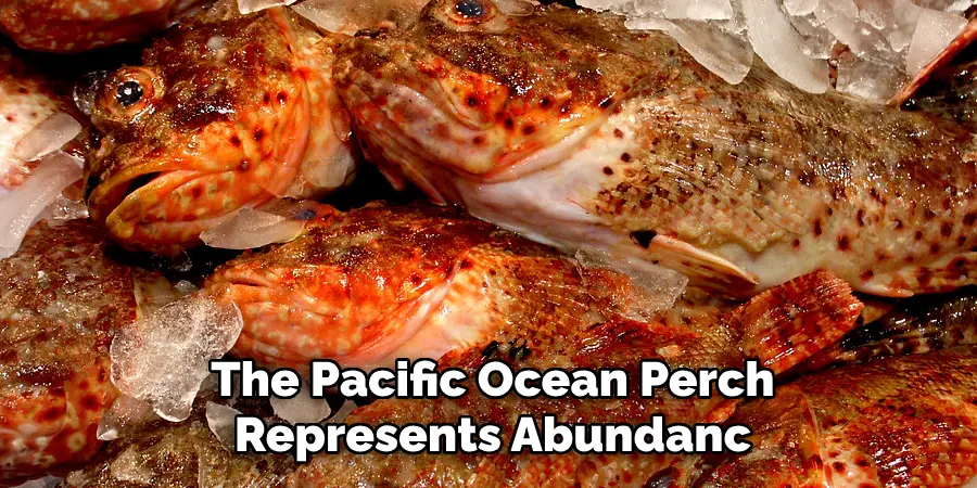 The Pacific Ocean Perch Represents Abundanc