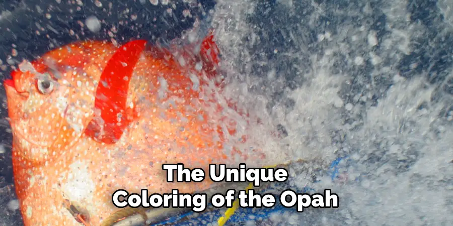 The Unique Coloring of the Opah