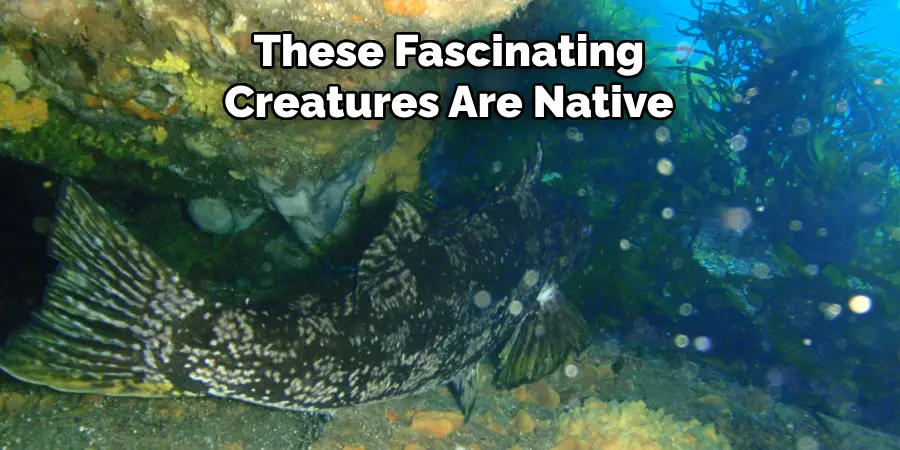 These Fascinating Creatures Are Native