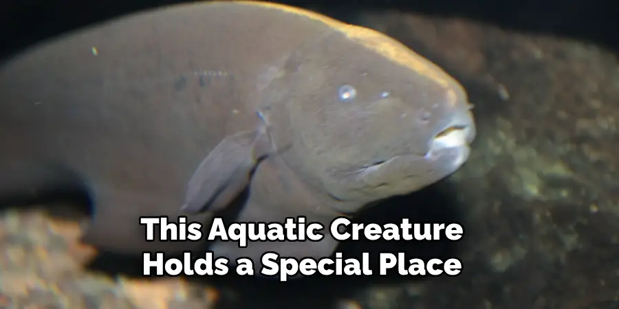 This Aquatic Creature Holds a Special Place