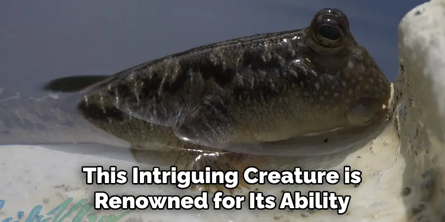 This Intriguing Creature is Renowned for Its Ability