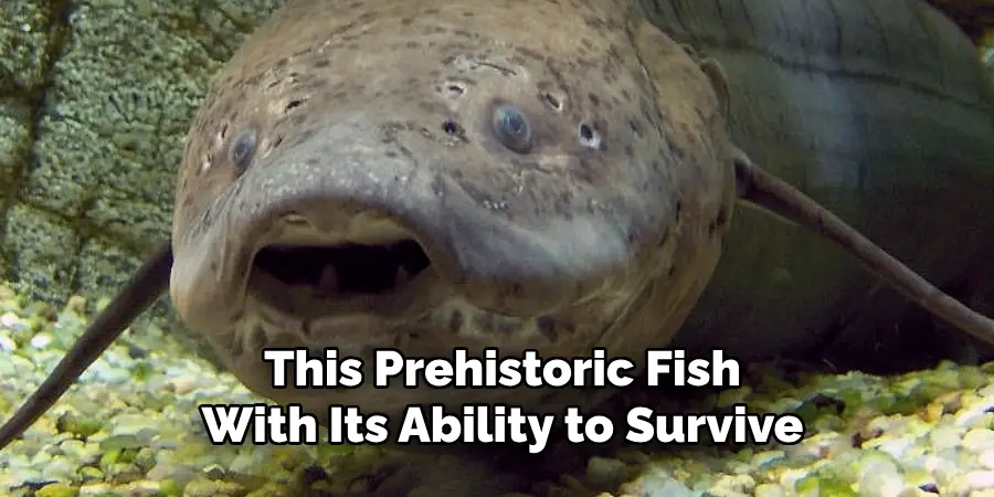 This Prehistoric Fish With Its Ability to Survive