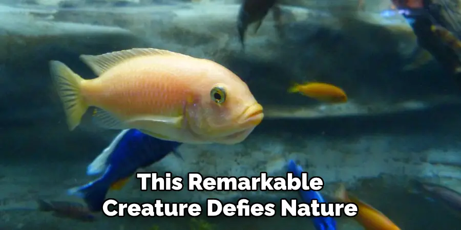 This Remarkable Creature Defies Nature