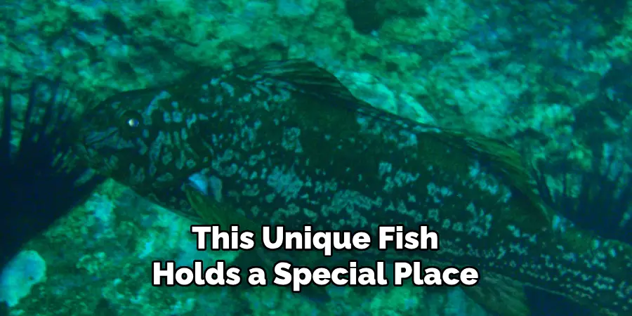 This Unique Fish
Holds a Special Place