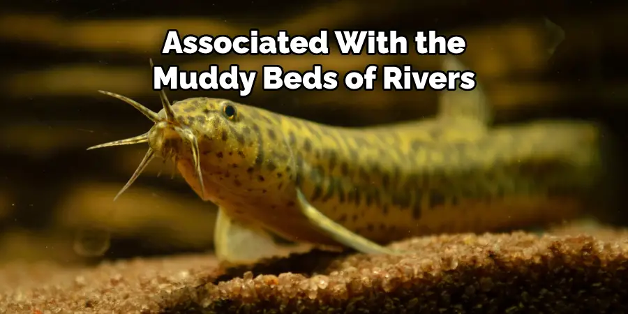 Associated With the Muddy Beds of Rivers