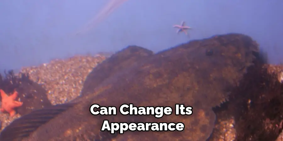 Can Change Its Appearance