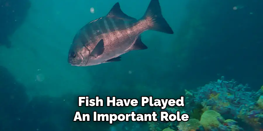 Fish Have Played An Important Role