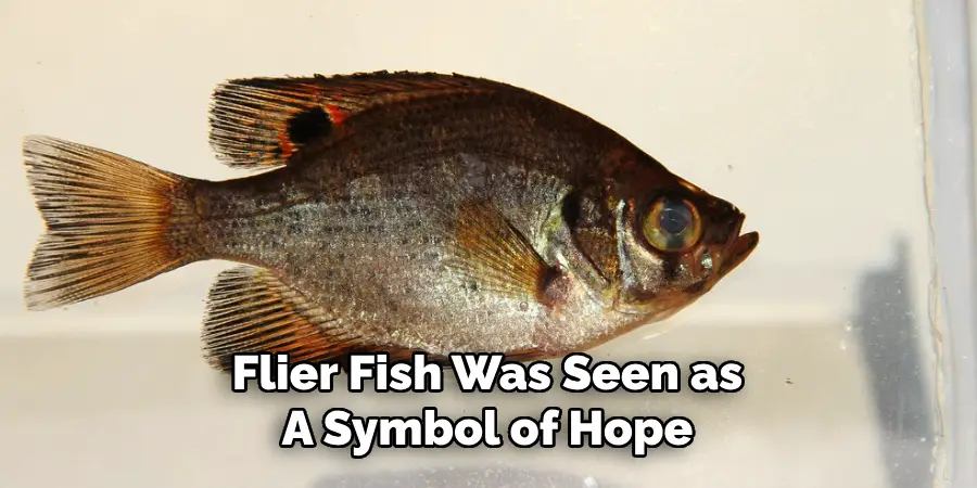 Flier Fish Was Seen as A Symbol of Hope