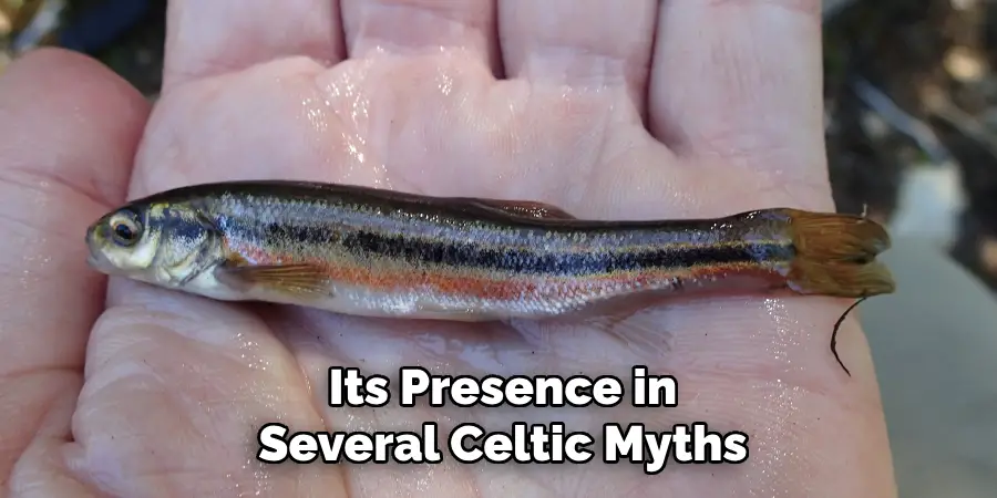 Its Presence in Several Celtic Myths