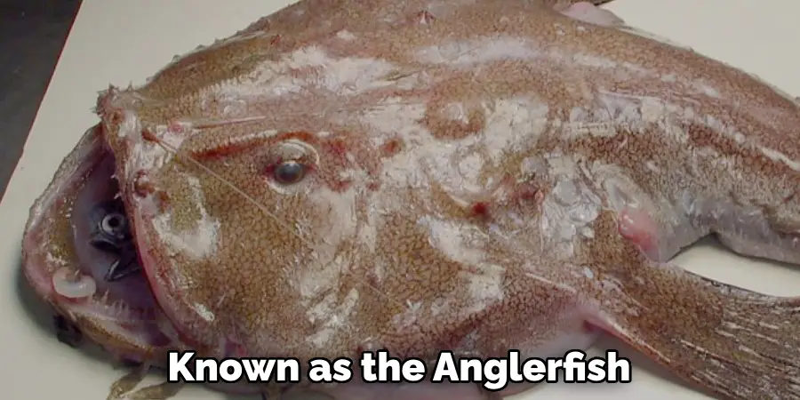 Known as the Anglerfish