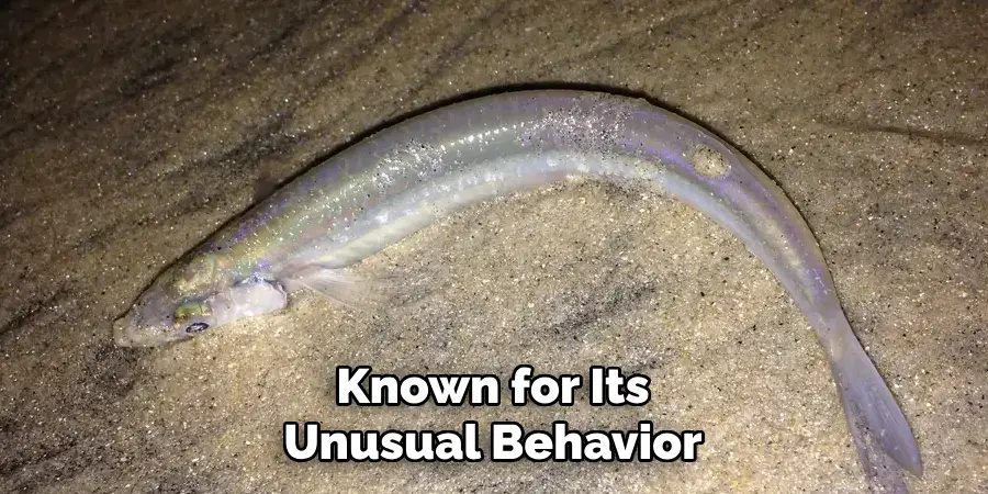 Known for Its Unusual Behavior