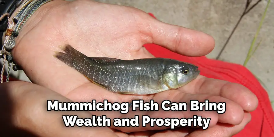 Mummichog Fish Can Bring Wealth and Prosperity