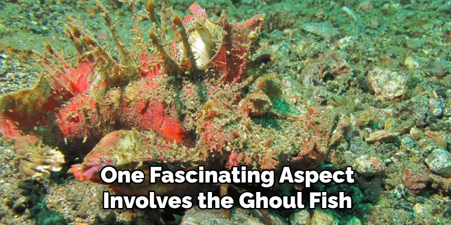 One Fascinating Aspect Involves the Ghoul Fish