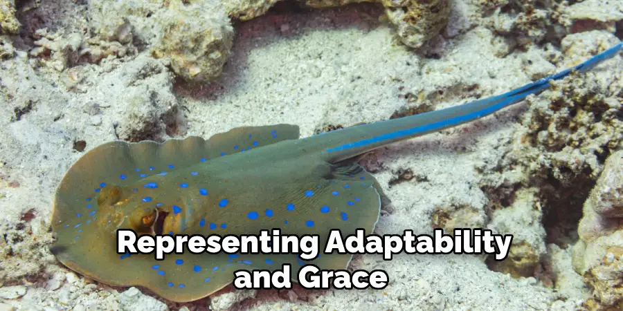 Representing Adaptability and Grace