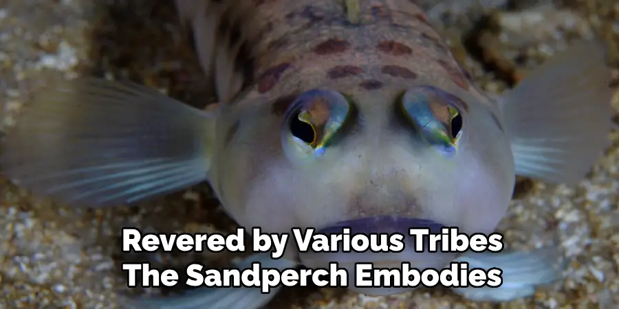 Revered by Various Tribes The Sandperch Embodies