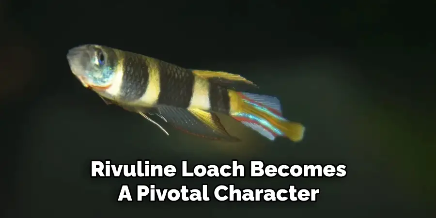 Rivuline Loach Becomes A Pivotal Character