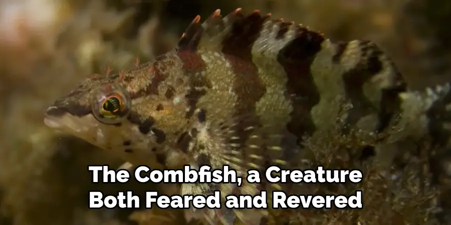 The Combfish, a Creature Both Feared and Revered