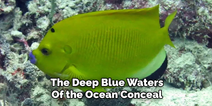 The Deep Blue Waters Of the Ocean Conceal