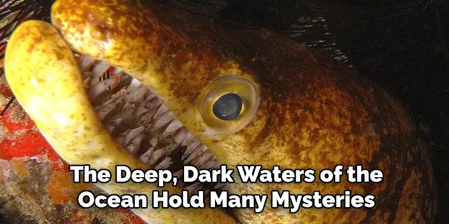 The Deep, Dark Waters of the Ocean Hold Many Mysteries