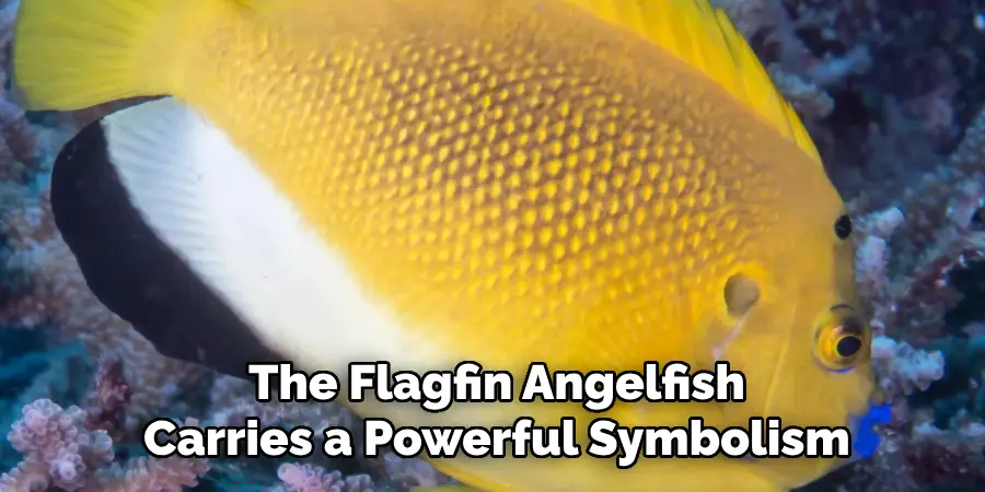 The Flagfin Angelfish Carries a Powerful Symbolism