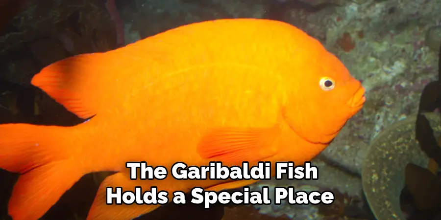 The Garibaldi Fish Holds a Special Place