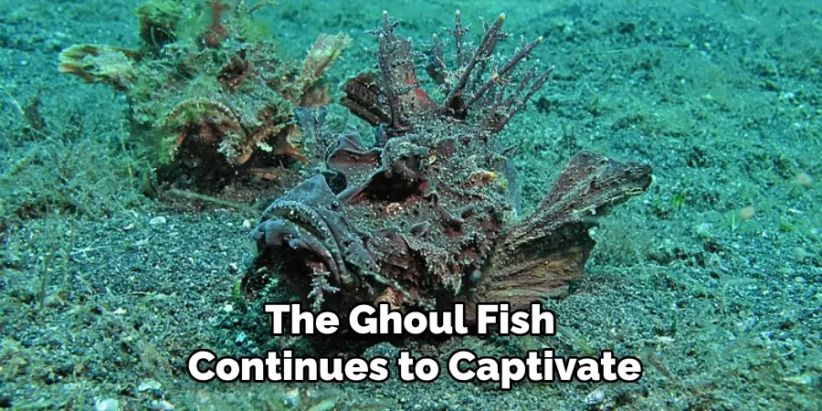 The Ghoul Fish Continues to Captivate