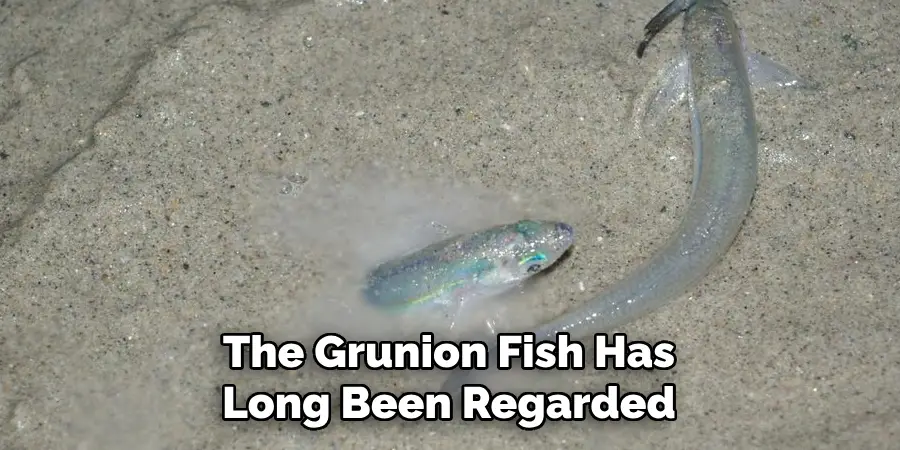 The Grunion Fish Has Long Been Regarded