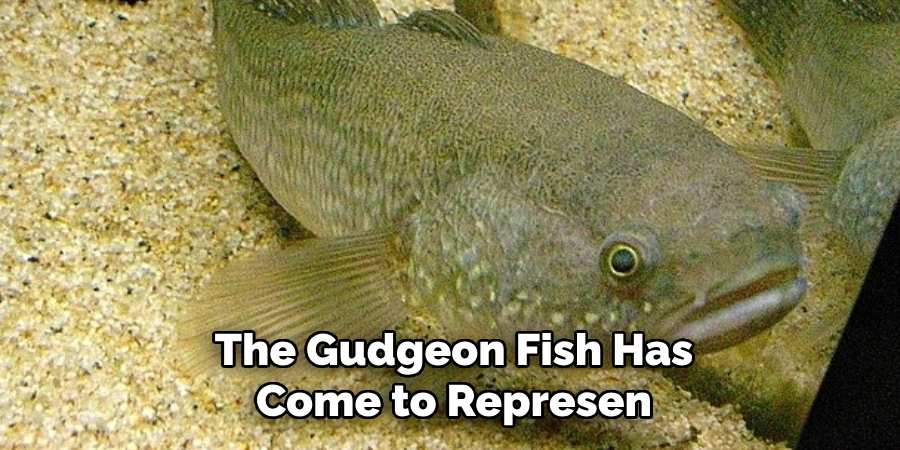 The Gudgeon Fish Has Come to Represen