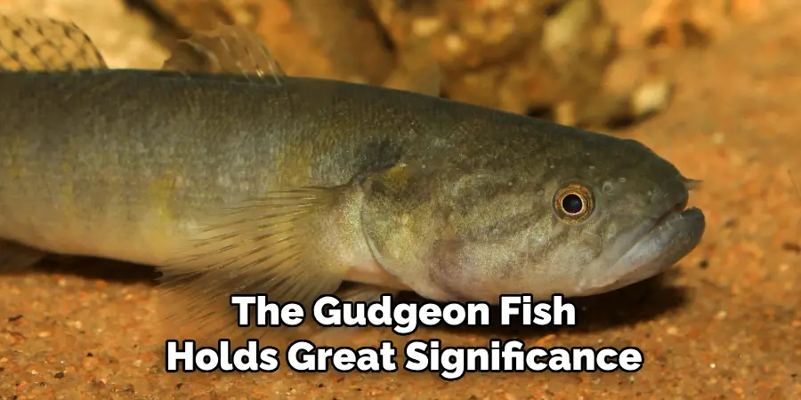 The Gudgeon Fish Holds Great Significance