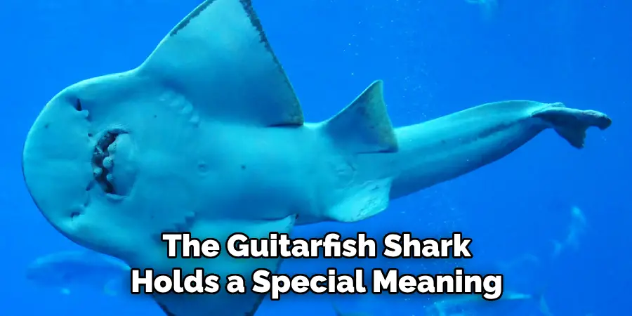 The Guitarfish Shark Holds a Special Meaning