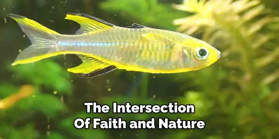 The Intersection Of Faith and Nature