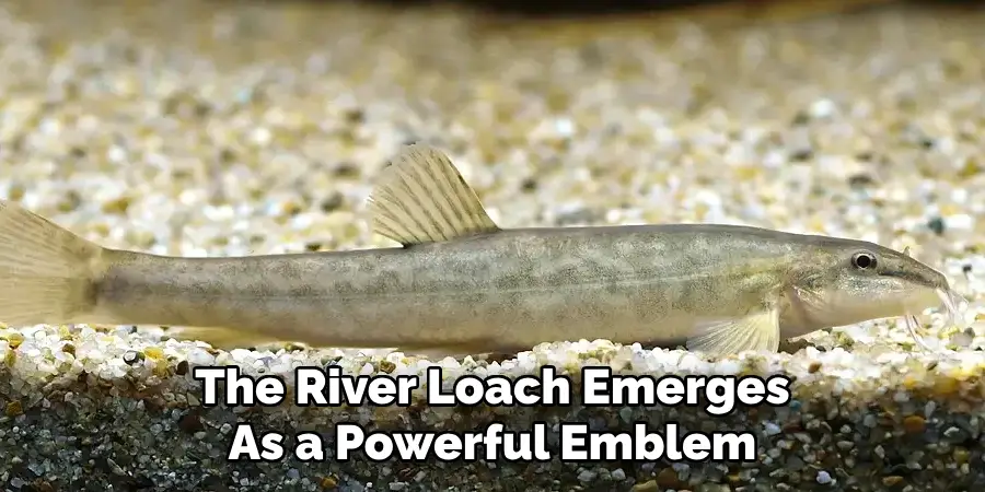 The River Loach Emerges As a Powerful Emblem