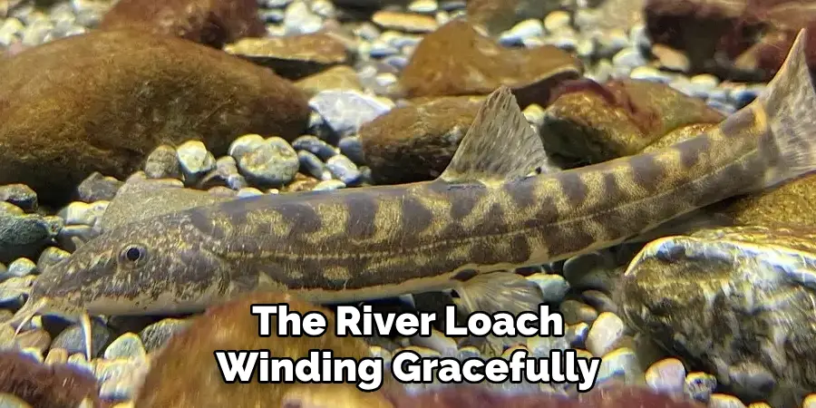 The River Loach Winding Gracefully