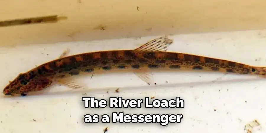 The River Loach as a Messenger