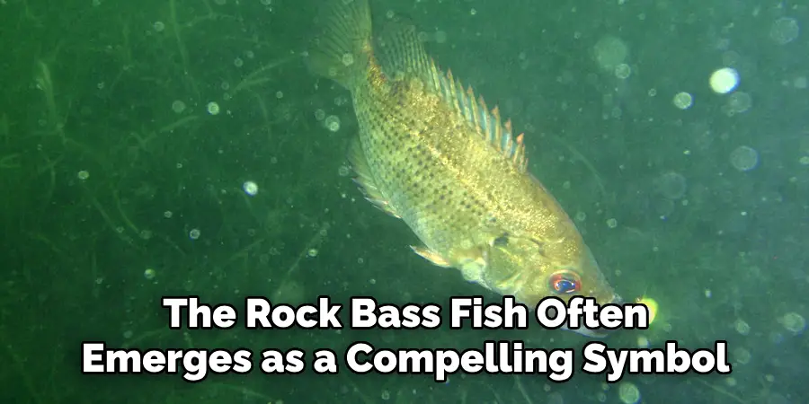 The Rock Bass Fish Often Emerges as a Compelling Symbol