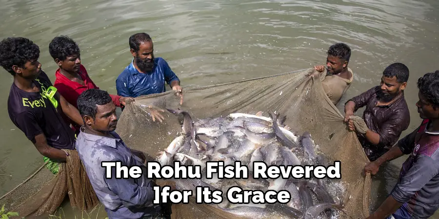 The Rohu Fish Revered ]for Its Grace