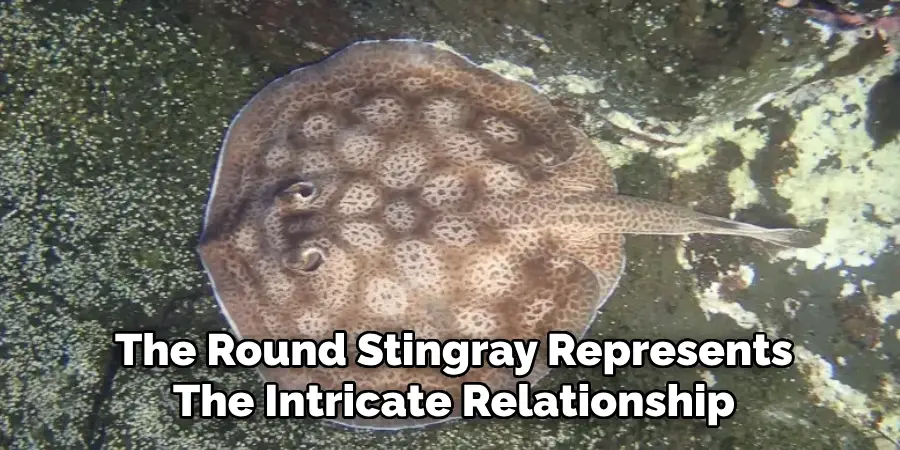 The Round Stingray Represents The Intricate Relationship