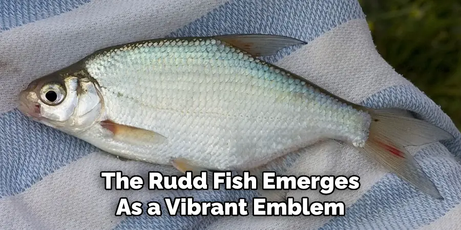 The Rudd Fish Emerges As a Vibrant Emblem