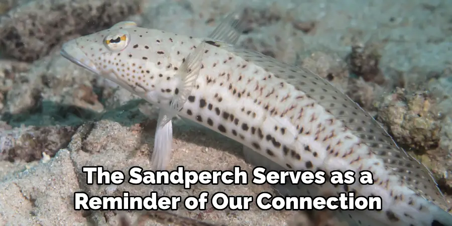 The Sandperch Serves as a Reminder of Our Connection