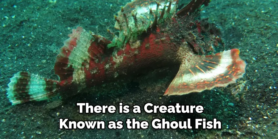 There is a Creature Known as the Ghoul Fish