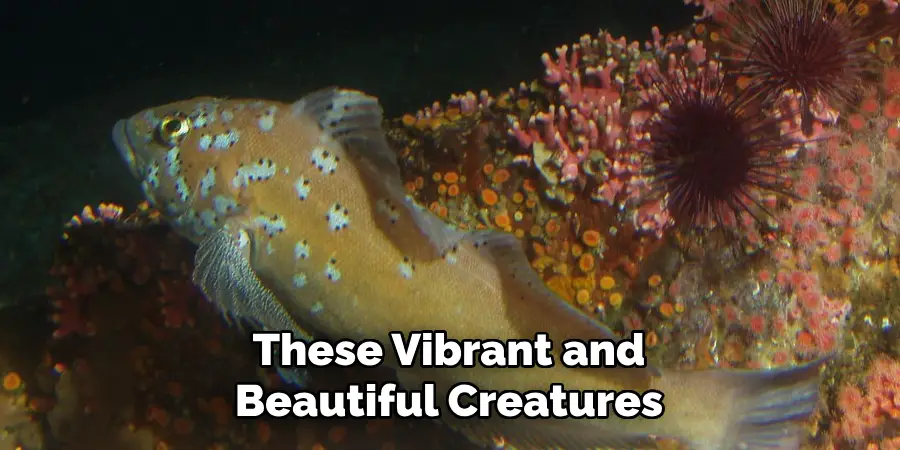 These Vibrant and Beautiful Creatures