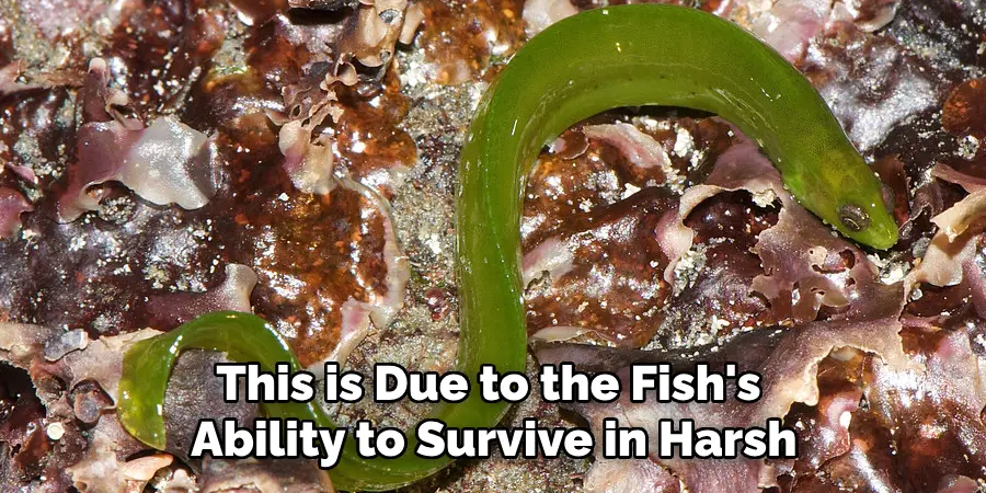 This is Due to the Fish's Ability to Survive in Harsh