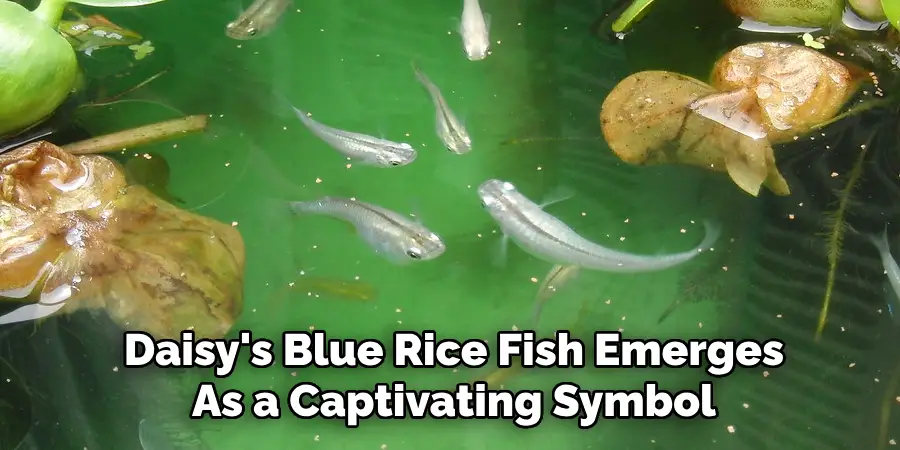 Daisy's Blue Rice Fish Emerges As a Captivating Symbol