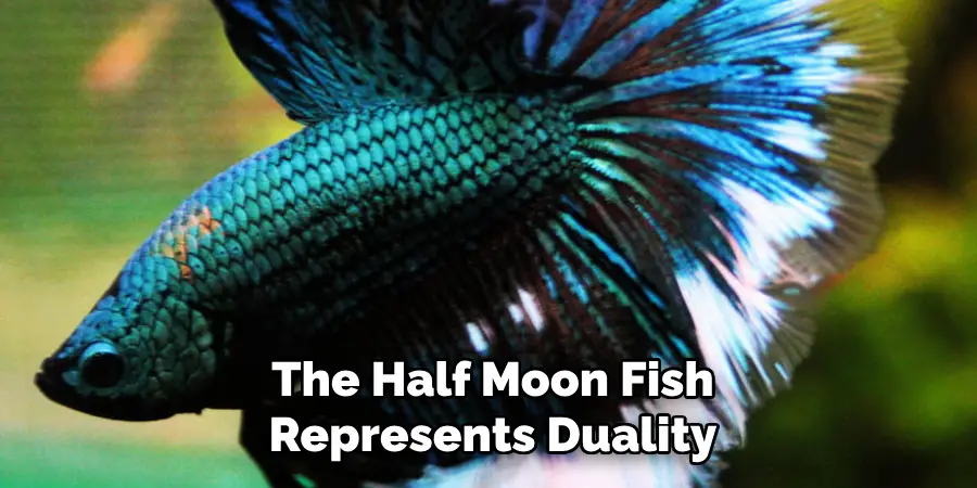 The Half Moon Fish 
Represents Duality