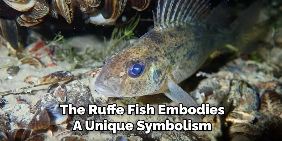 The Ruffe Fish Embodies A Unique Symbolism